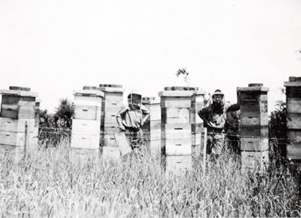 Beekeepers of TranzAlpine Honey