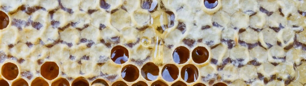 Tranzalpine beehives