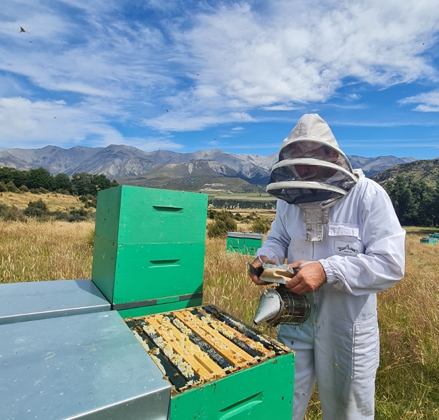 TranzAlpine Honey - beekeeper 640x613.5